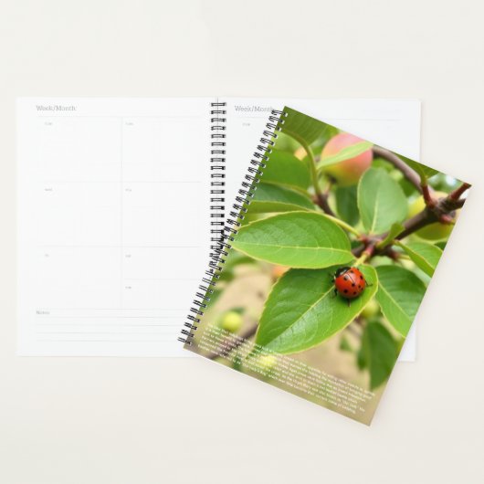 Glücklicher Marienkäfer-Kalender Planer (Anzeige)