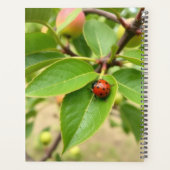 Glücklicher Marienkäfer-Kalender Planer (Rückseite)