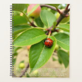 Glücklicher Marienkäfer-Kalender Planer (Vorderseite)