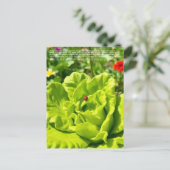 Glücklicher Marienkäfer  Postkarte (Stehend Vorderseite)
