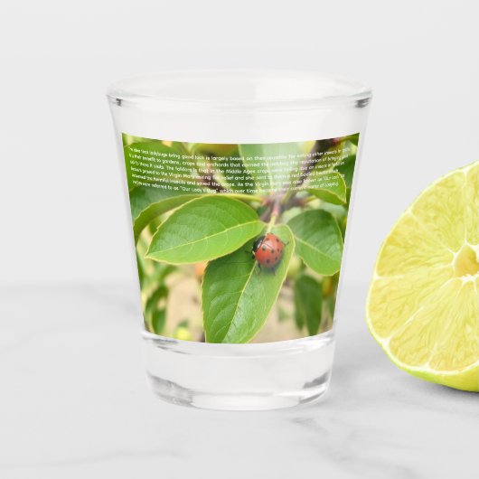 Glücklicher Marienkäfer  Schnapsglas (Vorderseite)