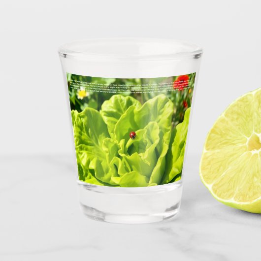 Glücklicher Marienkäfer Schnapsglas (Vorderseite)