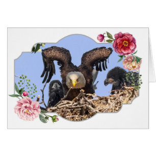 Glücklicher Muttertag, Adler