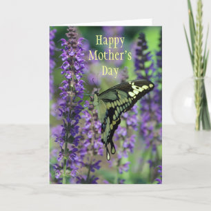 Glücklicher Muttertag ~ Bella Butterfly Card Karte