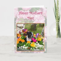 Glücklicher Muttertag Boston Terrier Grußkarte