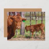 Glücklicher Muttertag! Postkarte (Vorne/Hinten)