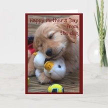 Glücklicher Muttertag vom Hund