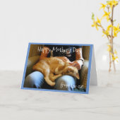 Glücklicher Muttertag von der Katze Karte (Gelbe Blume)