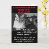 Glücklicher Muttertag von der Katzenkarte Karte (Gelbe Blume)