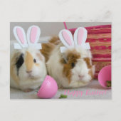 glücklicher Oster Feiertagspostkarte (Vorderseite)