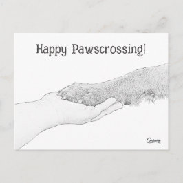 Glücklicher Pawscrossing! -Postkarte Postkarte