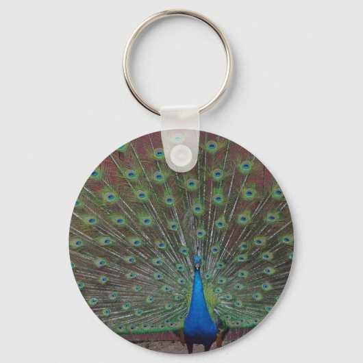 glücklicher Pfau Schlüsselanhänger (Vorderseite)