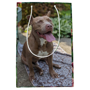 Glücklicher Pitbull mit Blumen-Fotografie Mittlere Geschenktüte