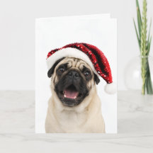 Glücklicher Pug mit funkelndem rotem Weihnachtsman