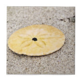 Glücklicher Sand-Dollar Fliese (Vorderseite)