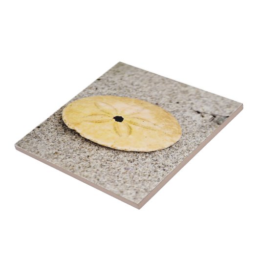 Glücklicher Sand-Dollar Fliese (Seite)