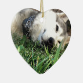 Glücklicher Schlittenhund Keramikornament (Rechts)