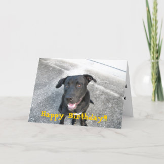 Glücklicher schwarzer Labrador Karte