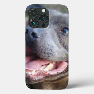 Glücklicher Staffordshire Bull Terrier,   Case-Mate iPhone Hülle