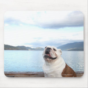 glücklicher Stierhund, der auf Plattform nahe See Mousepad