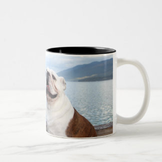 glücklicher Stierhund, der auf Plattform nahe See Zweifarbige Tasse
