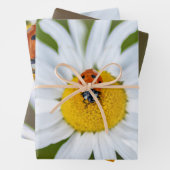 Glücklicher Teufel mit diesem Ladybug! Geschenkpapier Set (Beispiel)