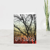 Glücklicher Tu B'Shevat! Jüdischer Tag des Baums