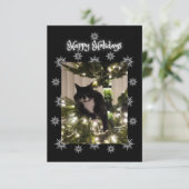 Glücklicher Urlaub Gruß. Tuxedo Katze. (Stehend Vorderseite)