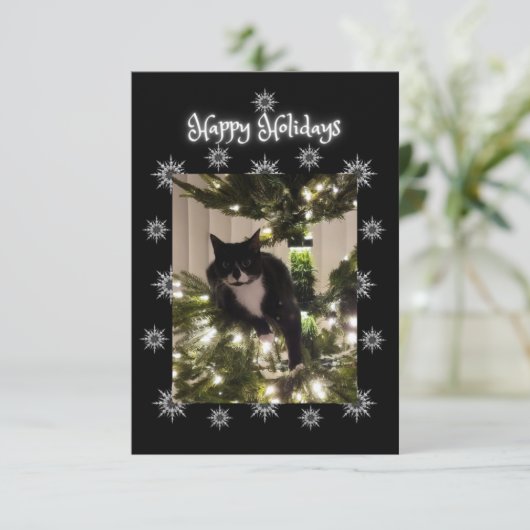 Glücklicher Urlaub Gruß. Tuxedo Katze. (Stehend Vorderseite)