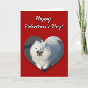 Glücklicher Valentinstag-amerikanische Feiertagskarte