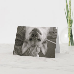 Glücklicher Valentinstag Feiertagskarte