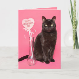 Glücklicher Valentinstag für alle Niedlichen Schwa Feiertagskarte