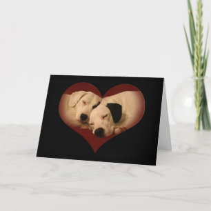 Glücklicher Valentinstag, Honig! Feiertagskarte