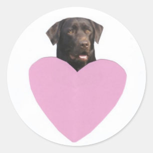 Glücklicher Valentinstag Labrador retrievers Runder Aufkleber