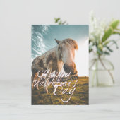 Glücklicher Valentinstag mit Blick auf Pferd (Stehend Vorderseite)