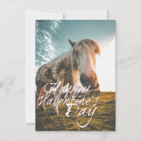 Glücklicher Valentinstag mit Blick auf Pferd