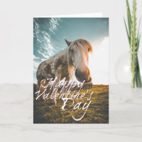 Glücklicher Valentinstag mit Blick auf Pferd