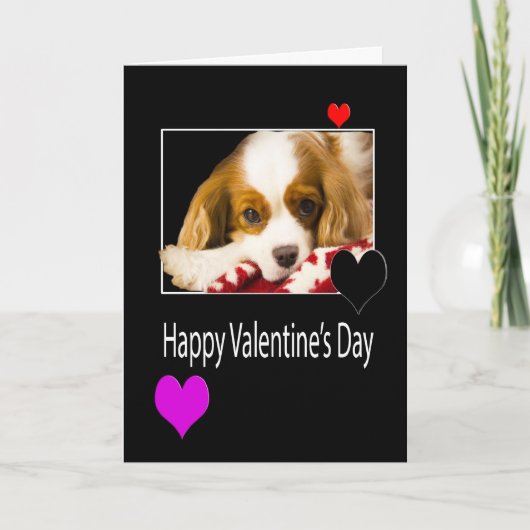 Glücklicher Valentinstag mit Königcharles Spaniel Feiertagskarte (Vorderseite)