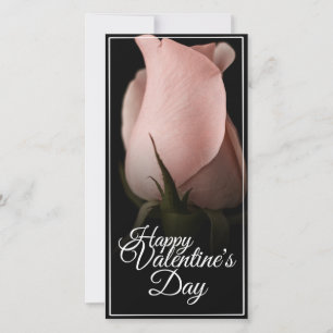 Glücklicher Valentinstag mit rosa Rosa