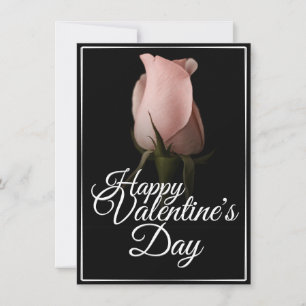 Glücklicher Valentinstag mit rosa Rosa