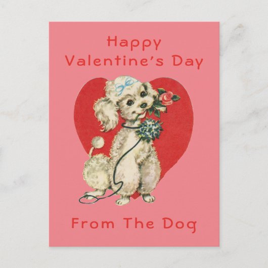 Glücklicher Valentinstag vom Hund Postkarte (Vorderseite)