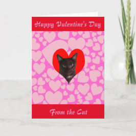Glücklicher Valentinstag von der Katze (schwarze Feiertagskarte