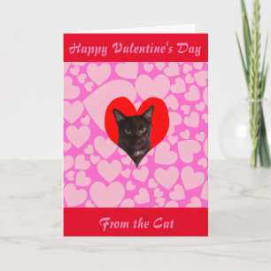 Glücklicher Valentinstag von der Katze (schwarze Feiertagskarte