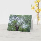 Glücklicher Vatertag Karte (Gelbe Blume)