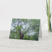 Glücklicher Vatertag Karte (Vorderseite)