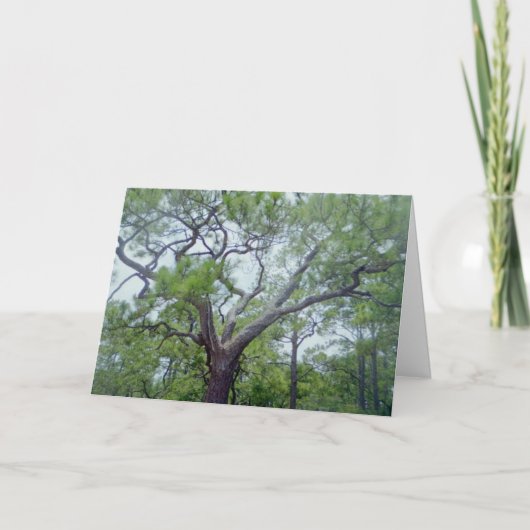 Glücklicher Vatertag Karte (Vorderseite)