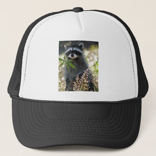 GLÜCKLICHER WASCHBÄR TRUCKERKAPPE (Vorderseite)