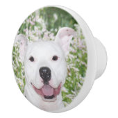 Glücklicher weißer pitbull Terrier Keramikknauf (Rechts)