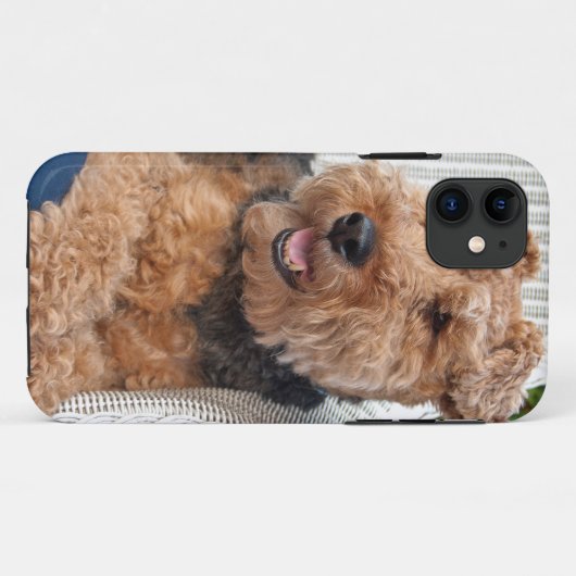 glücklicher Welsh Terrier Case-Mate iPhone Hülle (Rückseite (Horizontal))