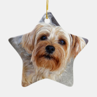 Glücklicher Yorkie Welpe Keramikornament